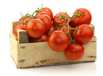 tomate001